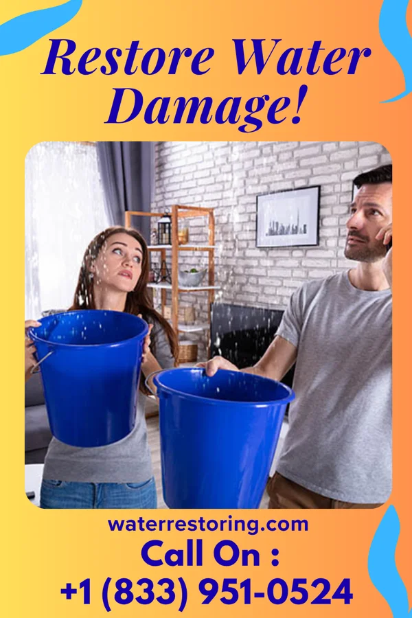 water restoration Master Water Damage Co Robinette