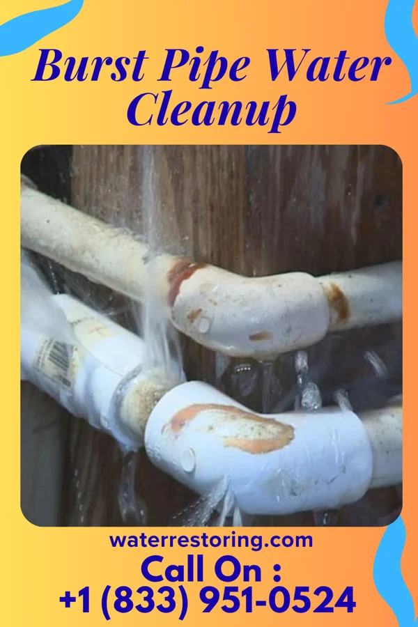 Burst Pipe Water Cleanup in Robinette, WV