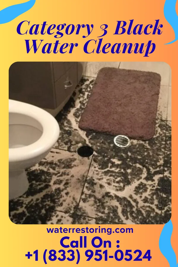 Category 3 Black Water Cleanup in Robinette, WV