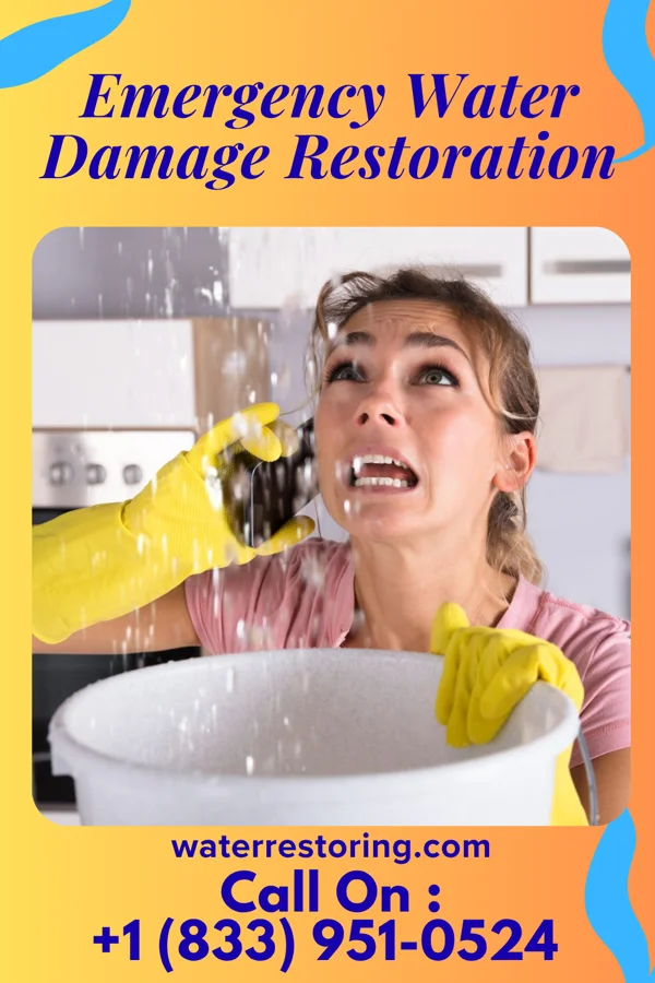 Emergency Water Damage Restoration in Robinette, WV
