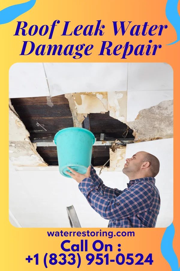 Roof Leak Water Damage Repair in Robinette, WV