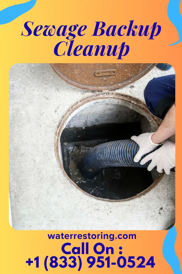 Sewage Backup Cleanup in Robinette, WV