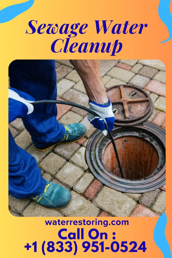 Sewage Water Cleanup in Robinette, WV