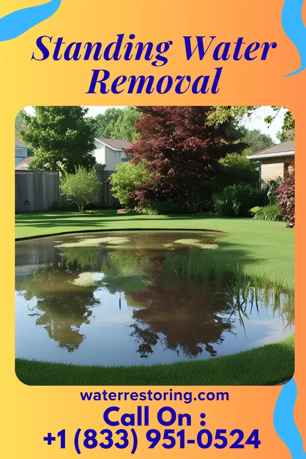Standing Water Removal in Robinette, WV